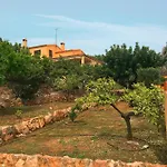 فيلة La Torreta Ref 056 *